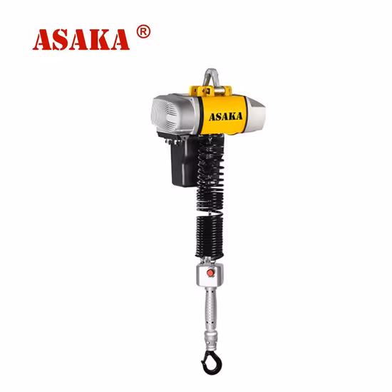 High Quality Electric Chain Hoist 125kg-3t