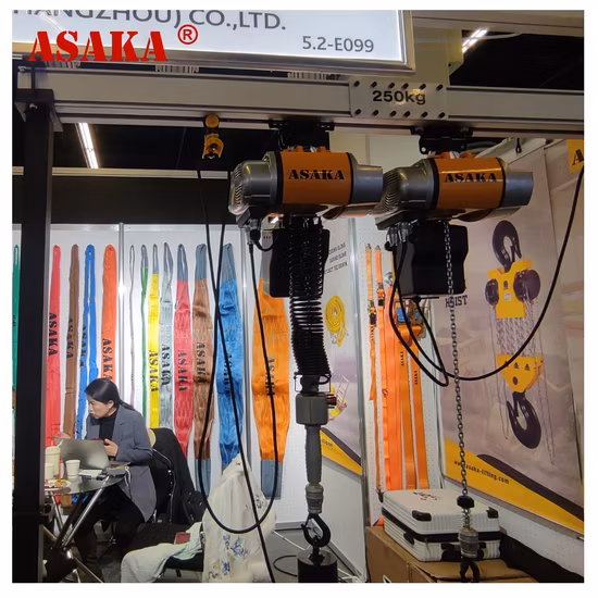 High Quality Electric Chain Hoist 125kg-3t