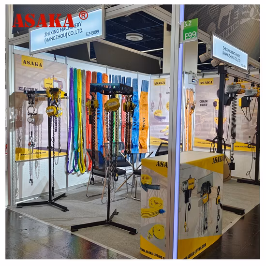 Paranco elettrico a catena di alta qualità 125 kg